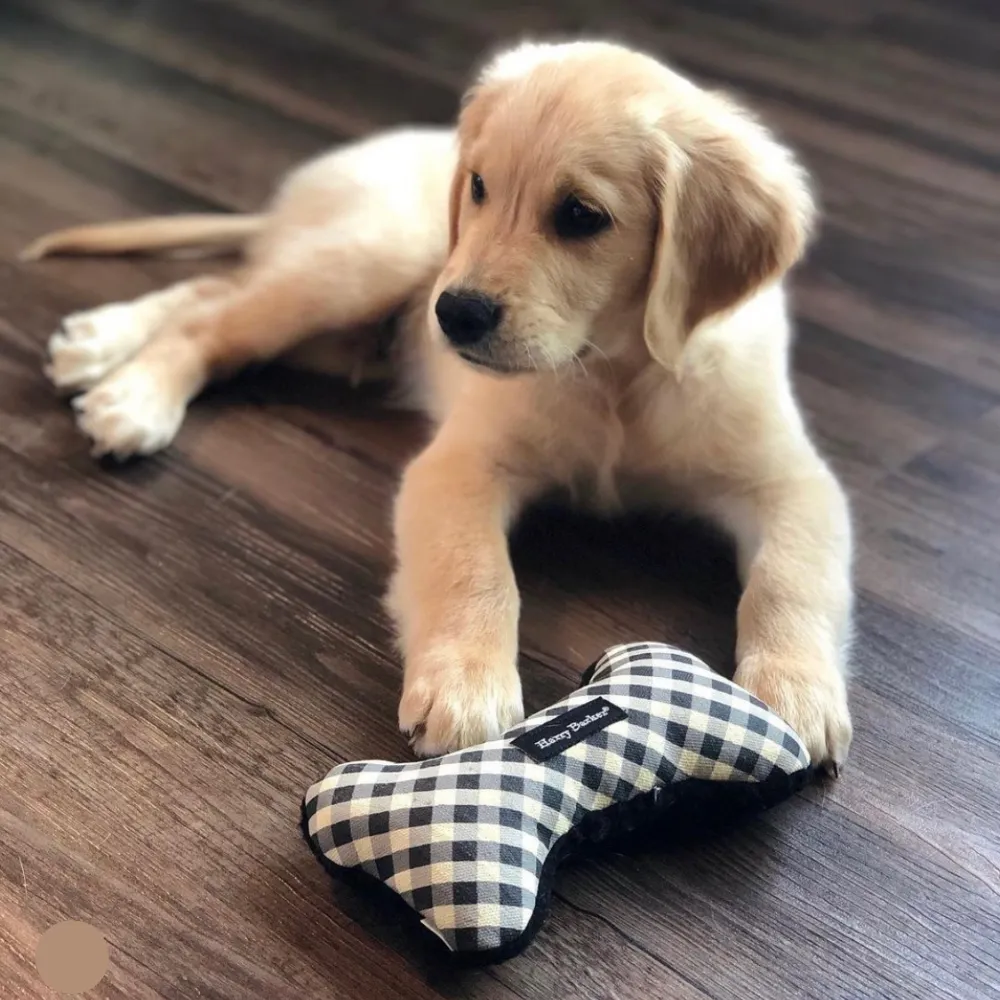 Gingham Bone Canvas Toy