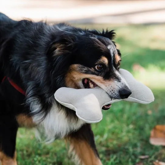 Hemp Dog Bone Toy for Gentle Chewers