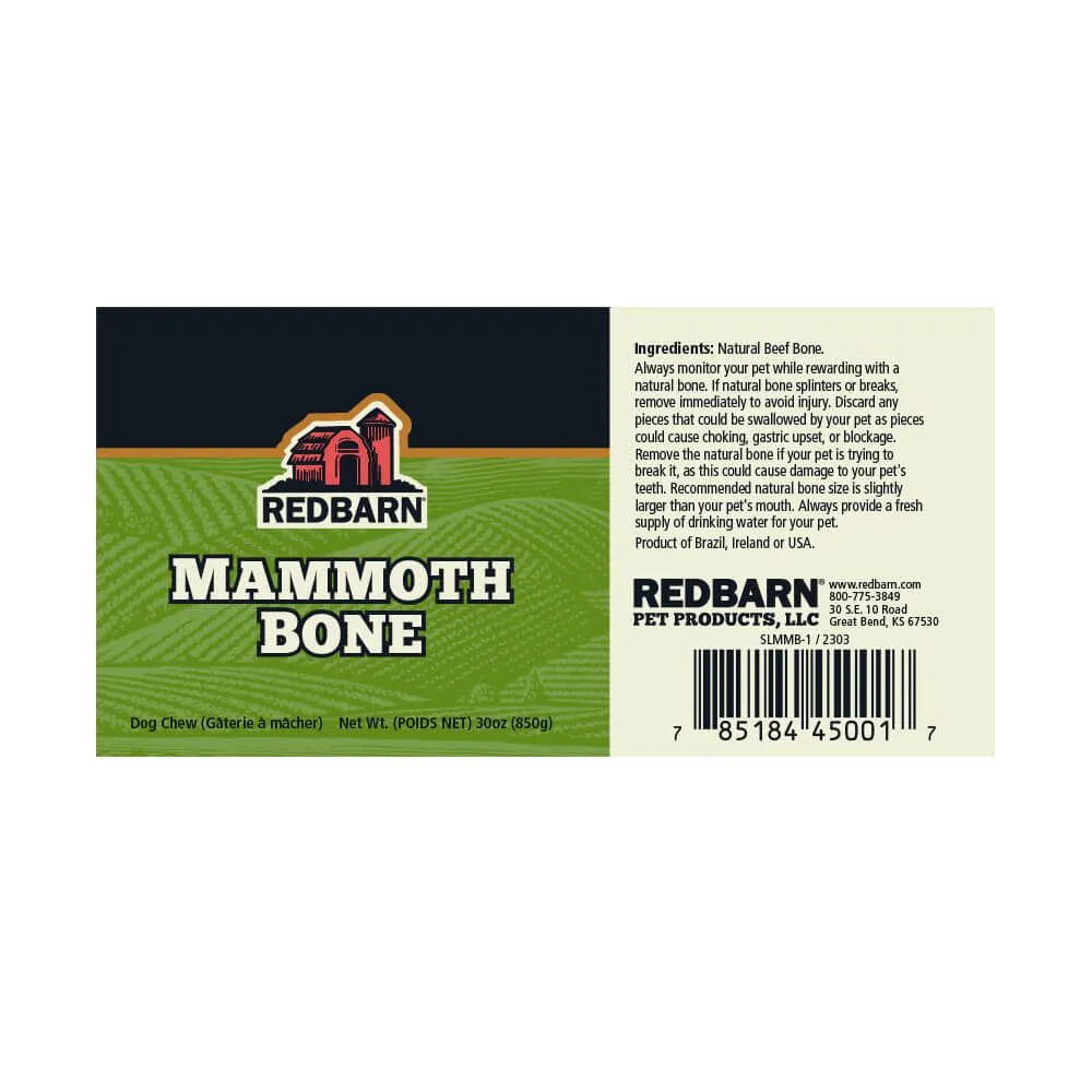 Mammoth Bone