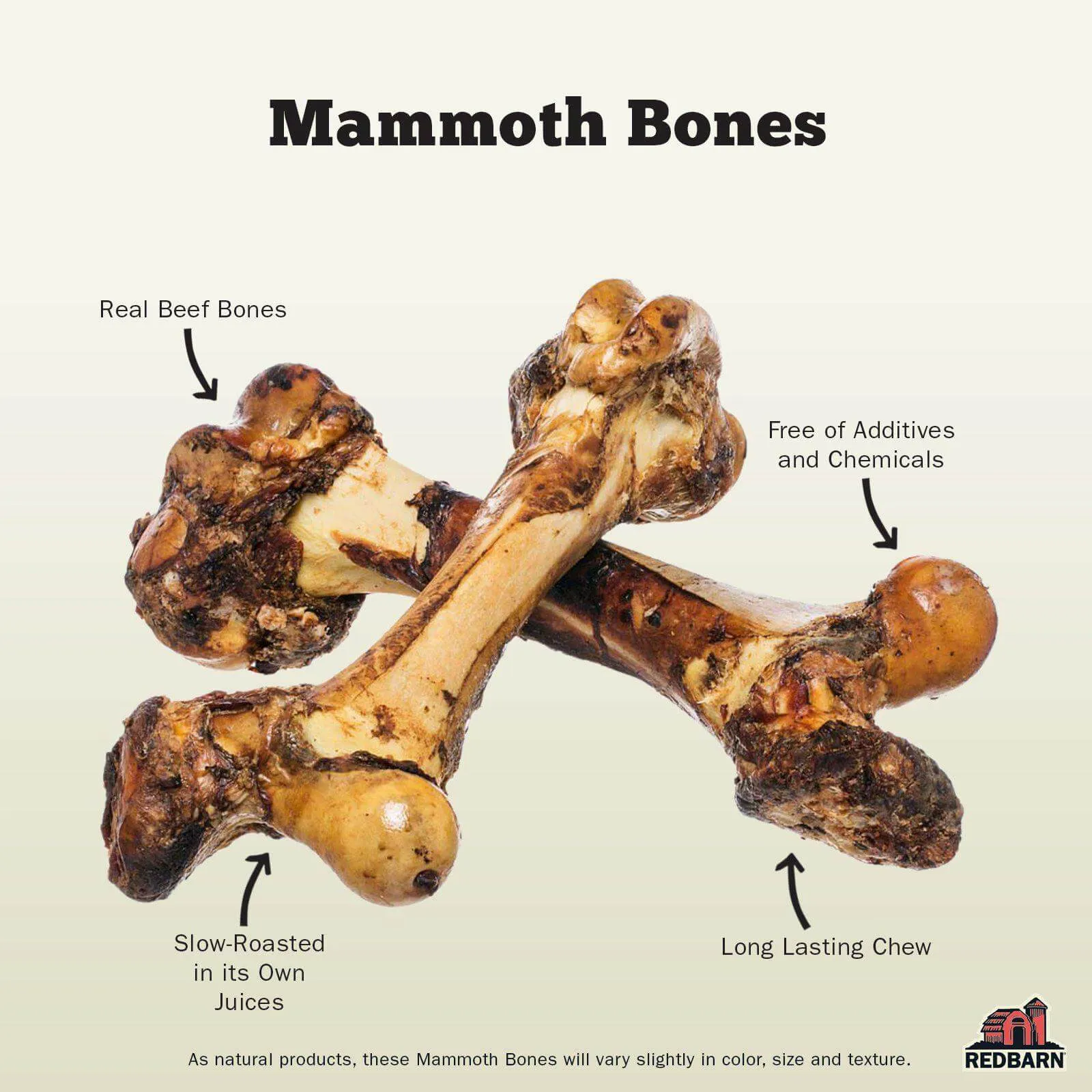 Mammoth Bone